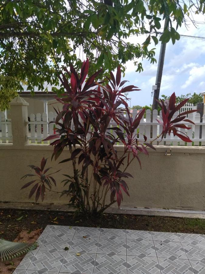 Villa Siber ปอร์-หลุยส์ ภายนอก รูปภาพ